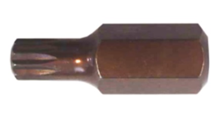 Слесарка.бай. Бита 12-лучевая SPLINE M14х30ммL, 5/16 Forsage F-1563014 Premium - стоимость, описание, магазин.